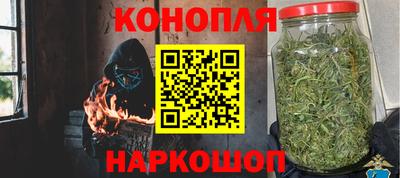 сатива Коммунар