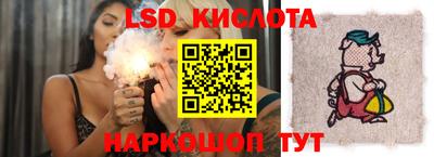 прущие грибы Конаково