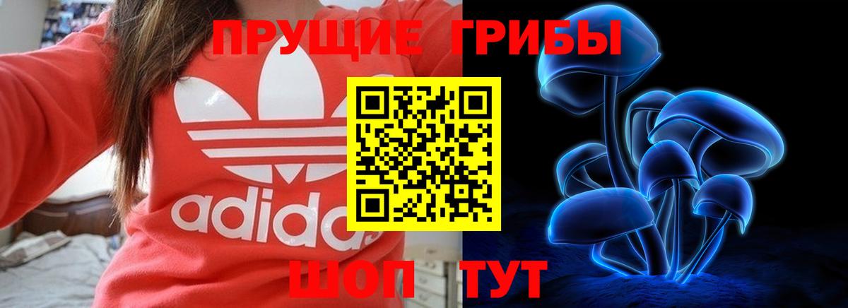 Галлюциногенные грибы ЛСД  Вход с VPN  где найти наркотики  Петрозаводск 