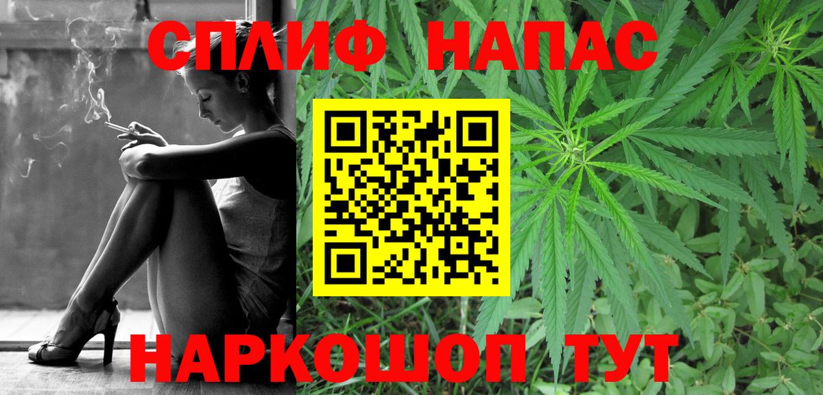 Шишки марихуана конопля Петрозаводск
